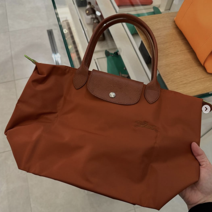 LONGCHAMP, le pliage original, medium long handle bag, no long strap, chestnut