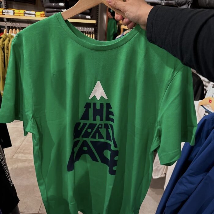 THE NORTH FACE, for men, round neck t shirt, green